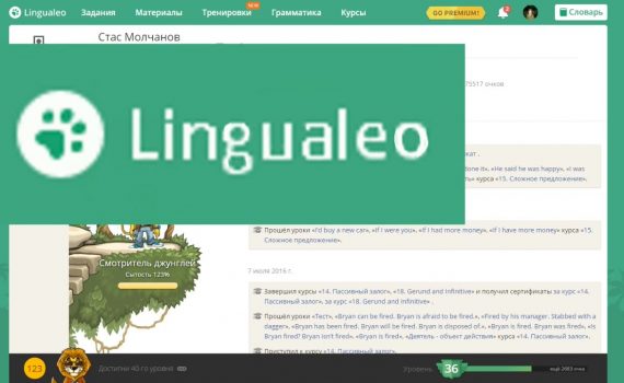 LINGUALEO - урок английского языка