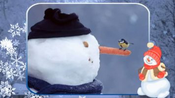 Новогодняя песня - Снеговик