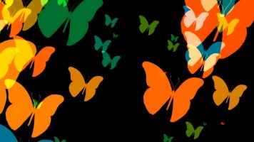 Цветные бабочки - футаж