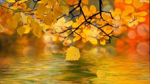 Осень - текст песни про осень