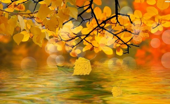 Осень - текст песни про осень