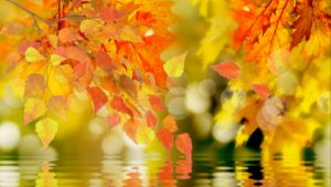 Осень золотая - текст песни про осень