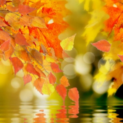 Осень золотая - текст песни про осень